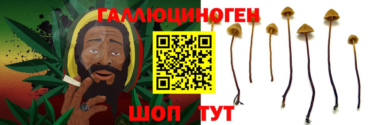 Чайковский  Псилоцибиновые грибы ЛСД  Вход с VPN 
